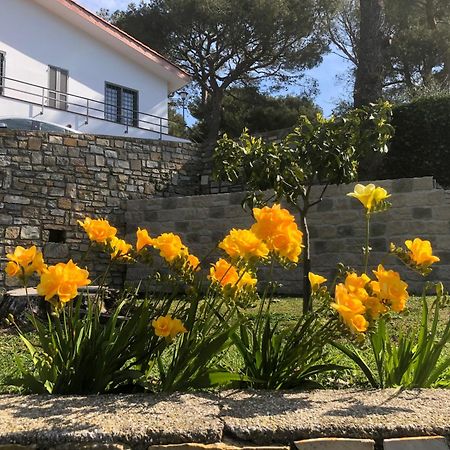 Il Lampin B&B Marina dʼMarina dʼAndora エクステリア 写真