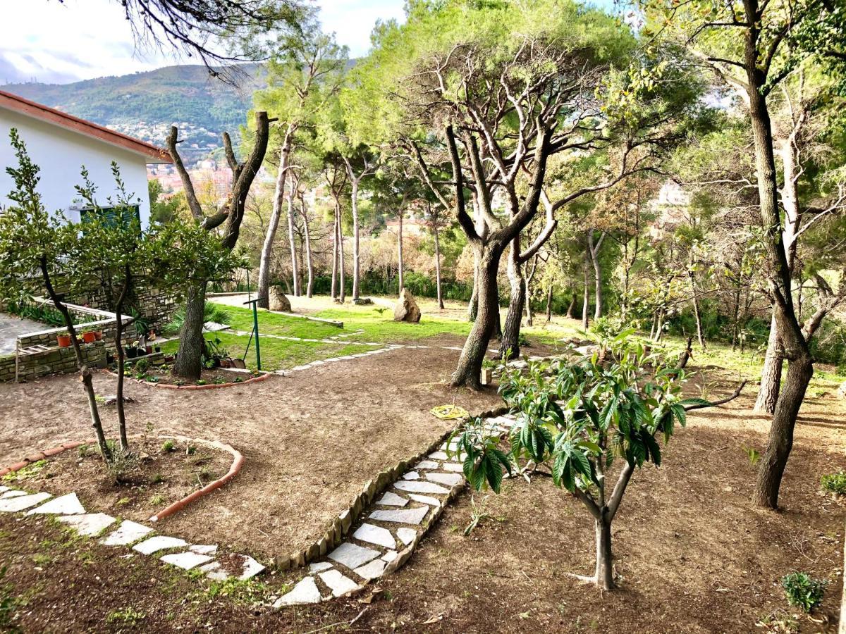 Il Lampin B&B Marina dʼMarina dʼAndora エクステリア 写真